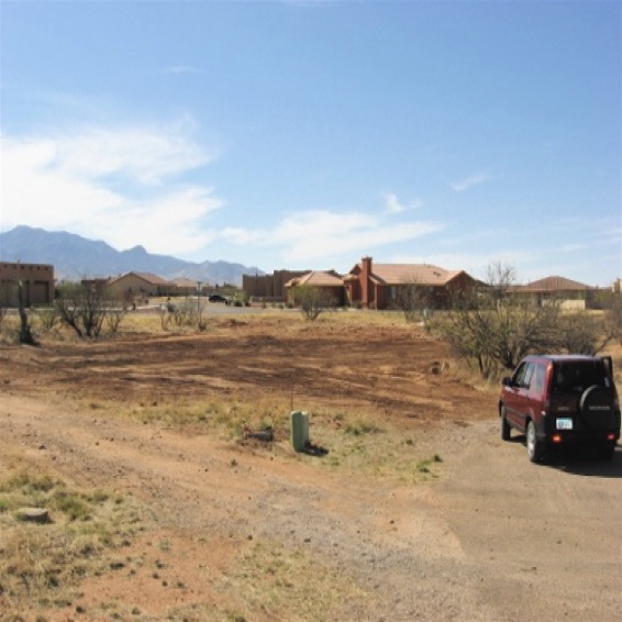 Lot Clearing